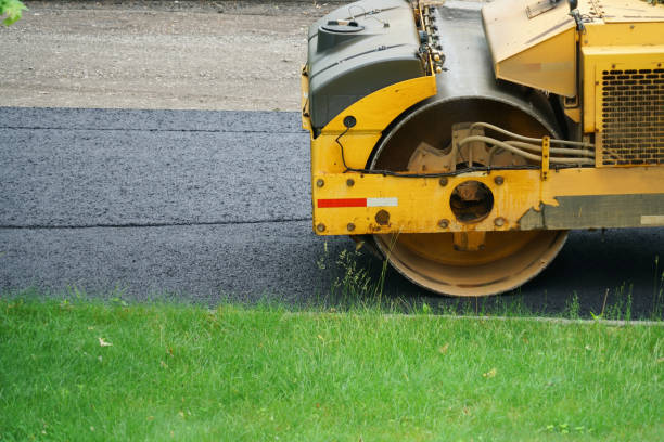 Best Custom Driveway Pavers  in Dexter, NM