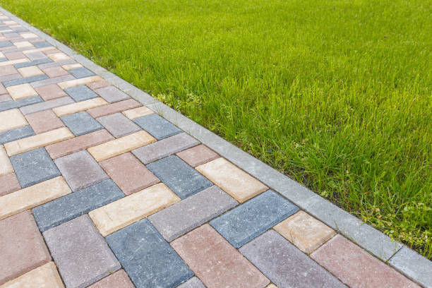 Best Driveway Pavers Contractor  in Dexter, NM